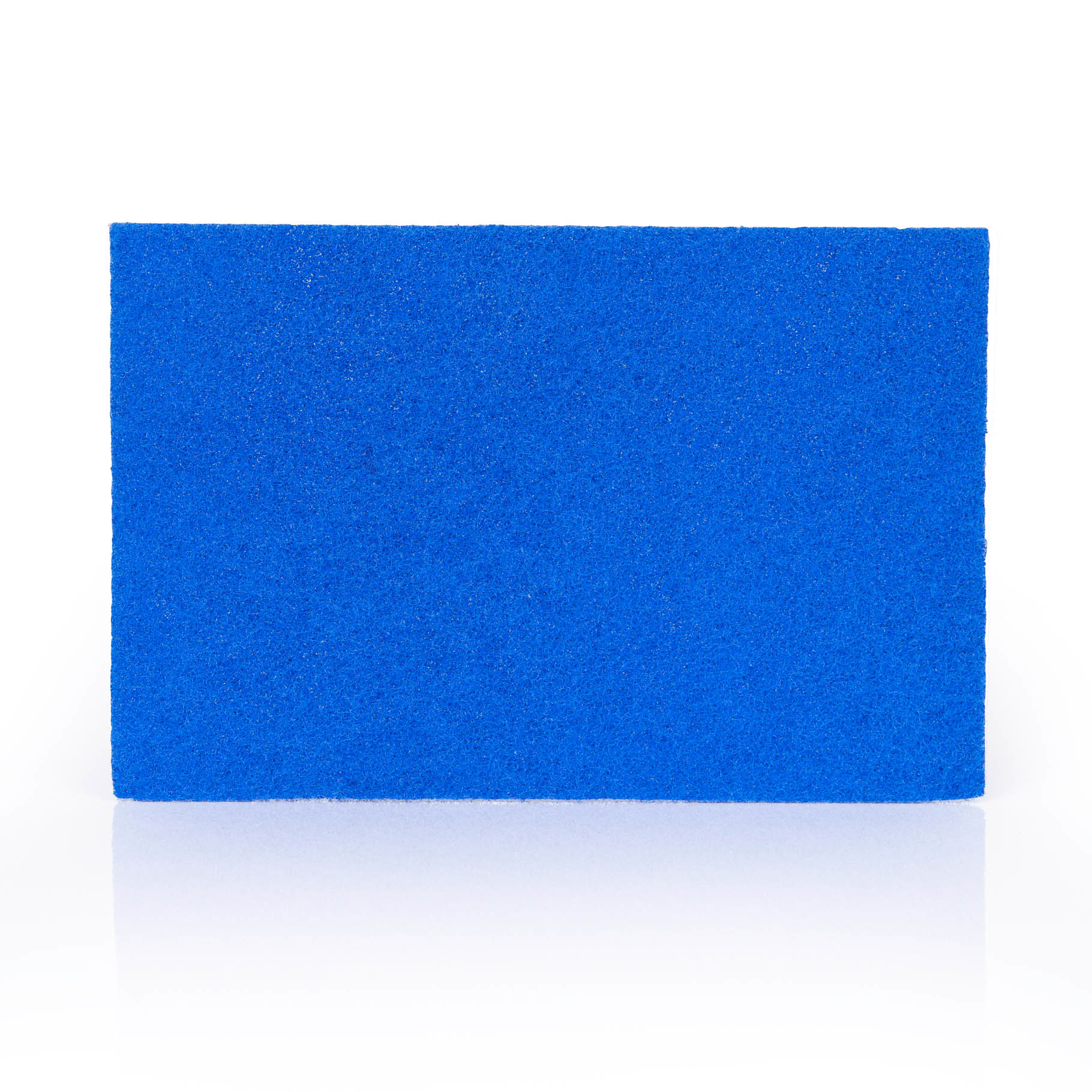 Caterers Scourer (Blue) Pack of 10 (23x15cm) (102446)